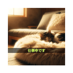 [LINEスタンプ] 憎ねこ