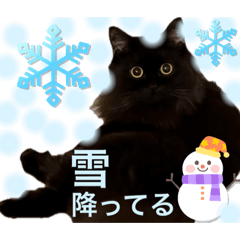 [LINEスタンプ] 黒猫 ルナ院長137にゃんめ