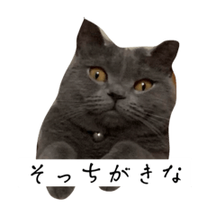 [LINEスタンプ] つららちゃんのスタンプの画像（メイン）