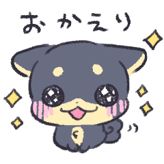 [LINEスタンプ] 黒柴サブちゃんのひたすらにかわいい日常