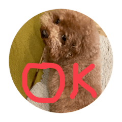 [LINEスタンプ] キヨッタ福丸4の画像（メイン）