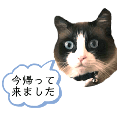 [LINEスタンプ] 返信したい沖縄の人追加