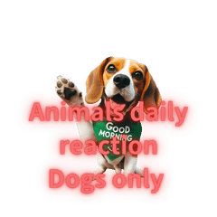 [LINEスタンプ] 動物の日常リアクション(Dog only)