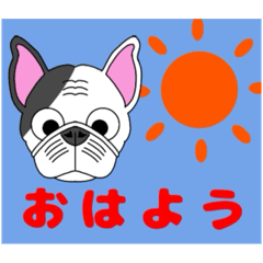 [LINEスタンプ] sukeのブヒブヒスタンプ