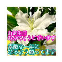 [LINEスタンプ] 敬語でユリを添えて