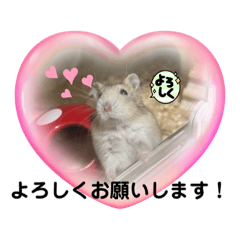 [LINEスタンプ] 天使ん爛漫ハムスターきいちゃん2〜日常〜