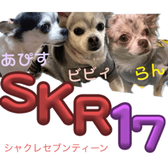 [LINEスタンプ] SKR17（シャクレセブンティーン）＆マルウ