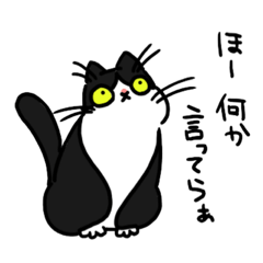 [LINEスタンプ] きょうだい猫のうららといこい