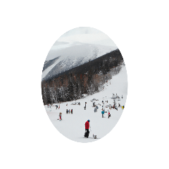 [LINEスタンプ] 冬だから札幌スキー場 トマムニセコ全山