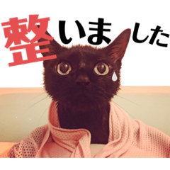 [LINEスタンプ] KEYちゃん 8