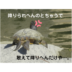 [LINEスタンプ] おーさかどーぶつ園。