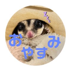 [LINEスタンプ] くろごまくんスタンプ♡