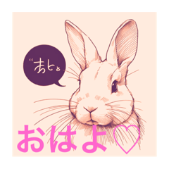 [LINEスタンプ] 可愛いうさぎの気持ち♡