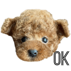 [LINEスタンプ] あられちゃんといっしょ