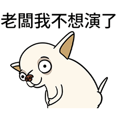 [LINEスタンプ] チワワは良い家族のペットです 33