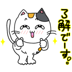 [LINEスタンプ] 年中使える短足三毛猫スタンプ