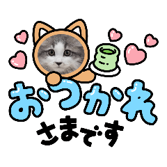 [LINEスタンプ] サイベリアンのししまるスタンプ