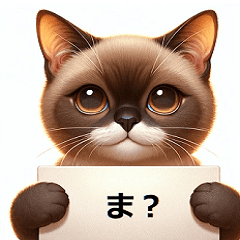 [LINEスタンプ] 猫の小さなメッセージ