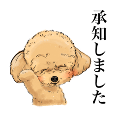 [LINEスタンプ] トイプードルわんちゃん