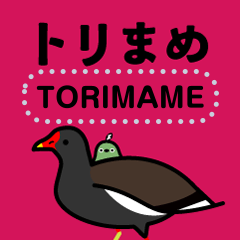 [LINEスタンプ] 野鳥のメッセージスタンプ - トリまめ9