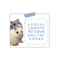 [LINEスタンプ] ハムスターメッセージスタンプ