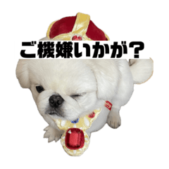 [LINEスタンプ] かわちいしらたまスタンプ3！