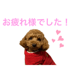 [LINEスタンプ] 実家の次女スタンプ