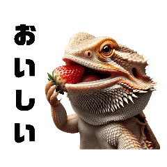 [LINEスタンプ] フトアゴのスタンプ vol2 bearded lizard