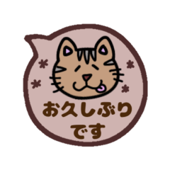 [LINEスタンプ] シンプルな吹き出しねこちゃん