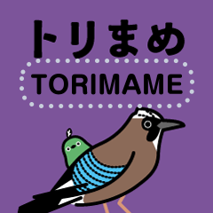 [LINEスタンプ] 野鳥のメッセージスタンプ - トリまめ10