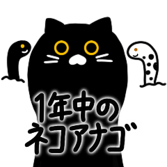 [LINEスタンプ] 1年中のネコアナゴ