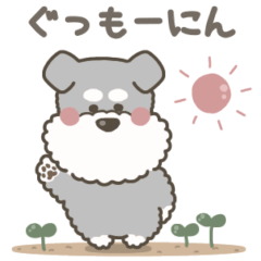 [LINEスタンプ] ぷくぷくシュナウザー♡(二頭身)