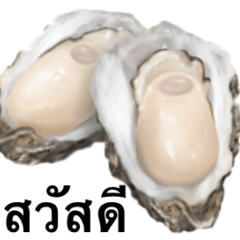 [LINEスタンプ] 牡蠣 です タイ語