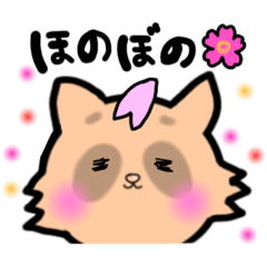 [LINEスタンプ] さくらたぬき(喜怒哀楽)