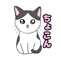 [LINEスタンプ] ハチワレ猫のもなかちゃん