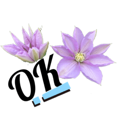 [LINEスタンプ] 花々4