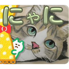 [LINEスタンプ] おおさかねこちゃん17