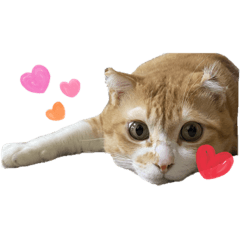 [LINEスタンプ] みちくんstamp