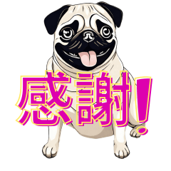 [LINEスタンプ] パグのほのぼのワンダーランド