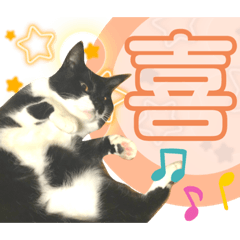 [LINEスタンプ] 猫達の日常・のりこむぎ3の画像（メイン）