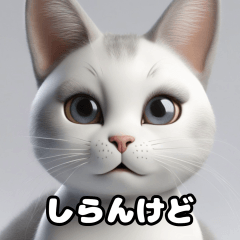 [LINEスタンプ] 関西弁な猫たち