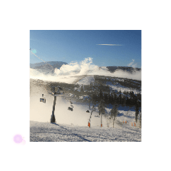 [LINEスタンプ] スキーでウィンター ワンダーランドを体験