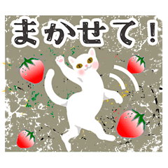 [LINEスタンプ] 白猫ニャー♥