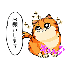 [LINEスタンプ] 猫のトラ吉ちゃん