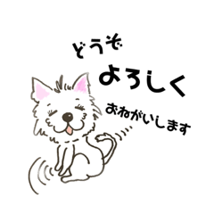 [LINEスタンプ] ゆるっと落書き♪ウェスティと暮らす日常