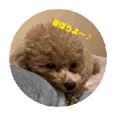 [LINEスタンプ] さら妃殿下の画像（メイン）