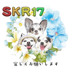 [LINEスタンプ] SKR17（しゃくれセブンティーン）