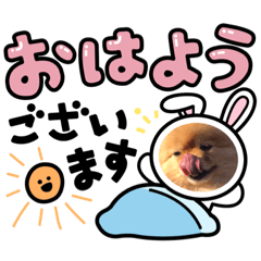 [LINEスタンプ] 犬のお顔スタンプ