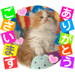 [LINEスタンプ] ねこまーち クリスタルプリンセス