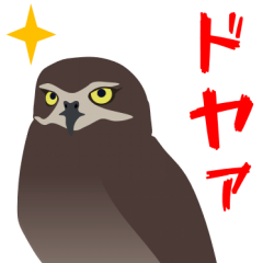 [LINEスタンプ] 可愛いアナホリフクロウ